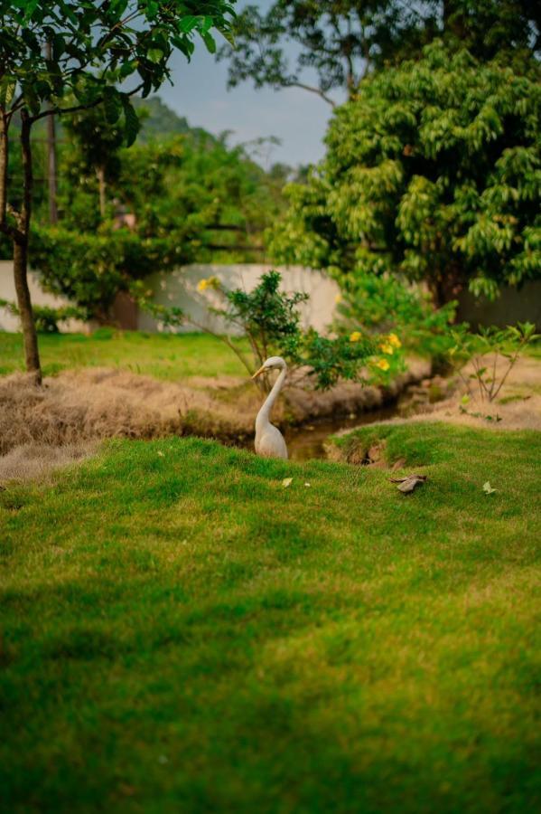 Vythiri Villas Wayanad Zewnętrze zdjęcie